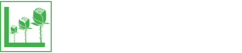Virtual Petals